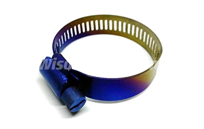 Titanium Hose Clamp